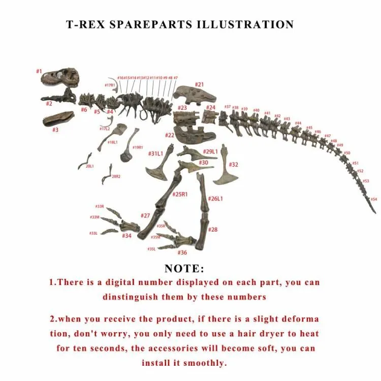 4D Animal Model Toys Simulation Large Dinosaur Fossil Tyrannosaurus Assemble The Skeleton Model Toys Stitching Toys