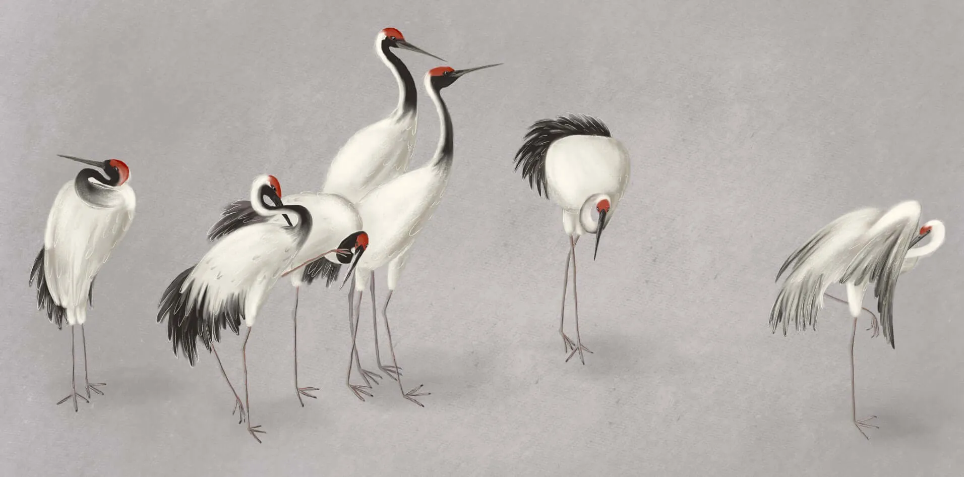 Crowned Crane Wall Mural