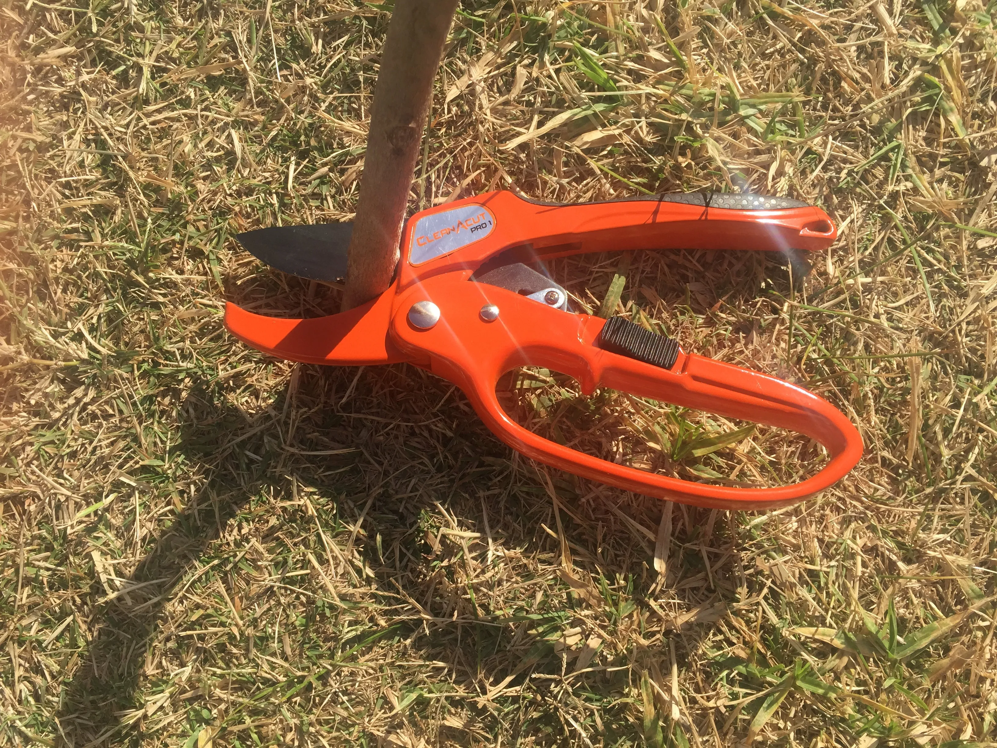 CutAbove Ratchet Pruning Secateur Power Cut 30% Less Effort  #1 For Arthritis Sufferers