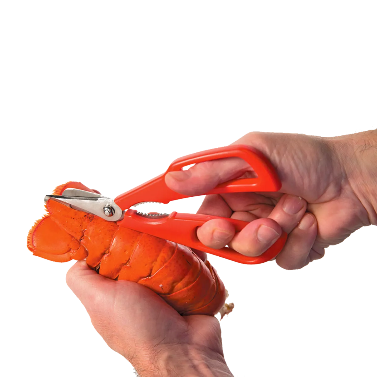 Edge Design Seafood Shears detachable - Red