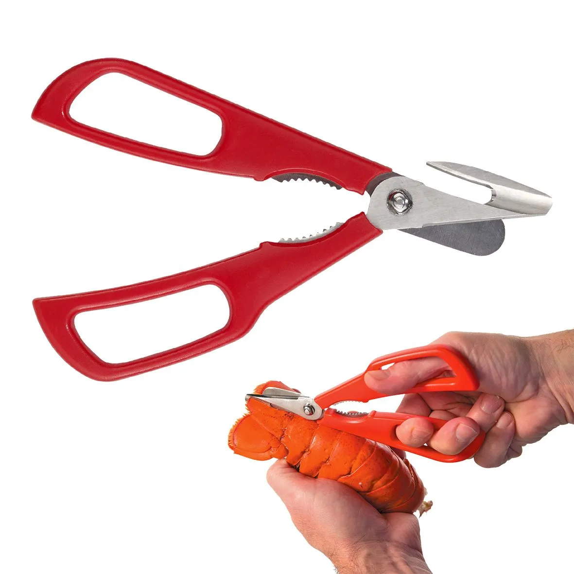 Edge Design Seafood Shears - Detachable - Red