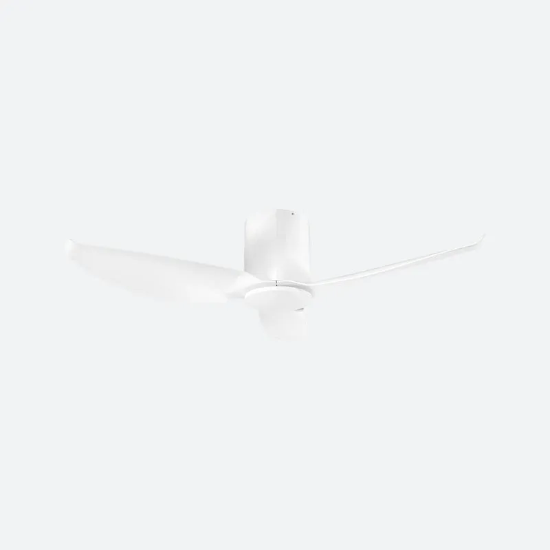 FEER Modern Decor Fans (T5F/NLO)