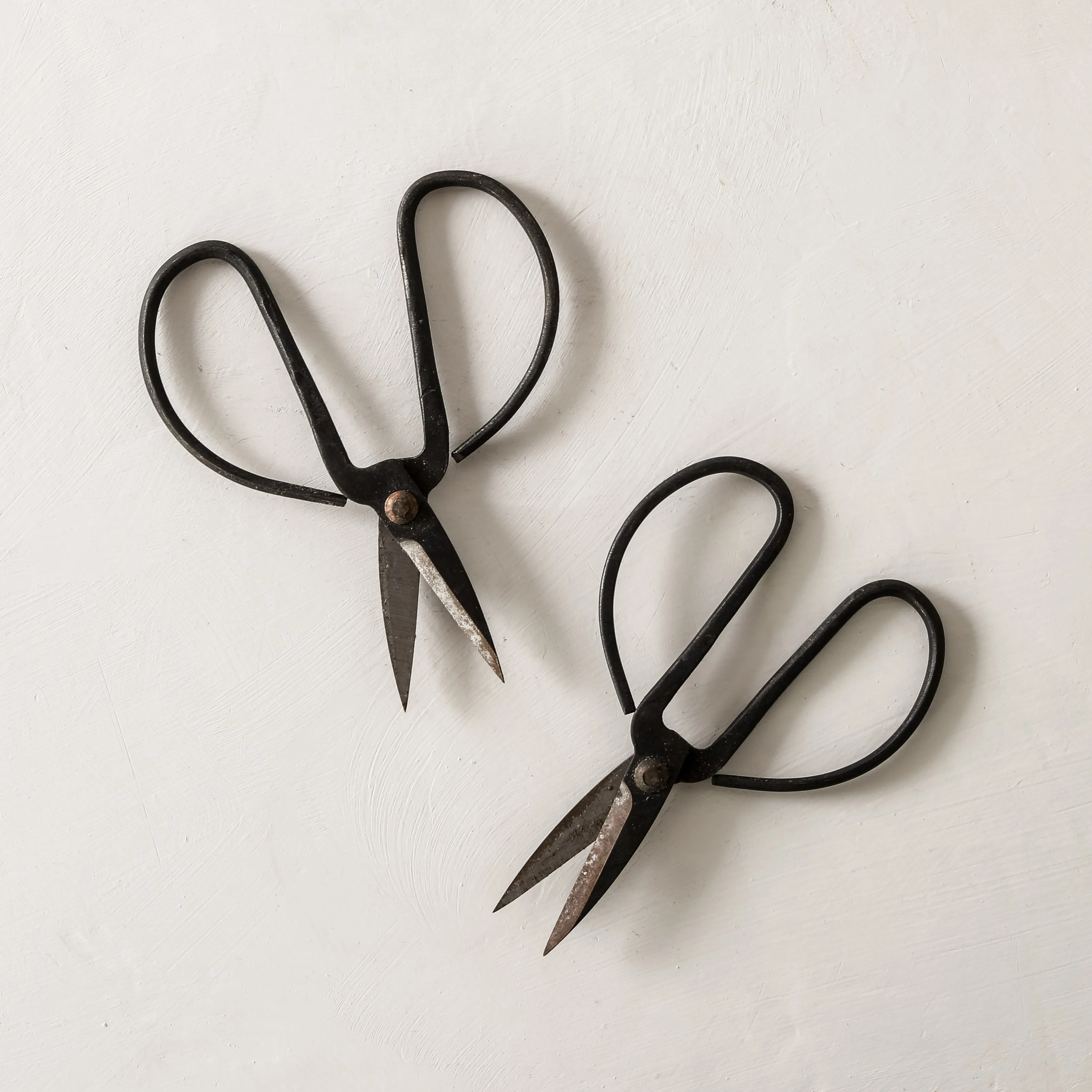 Garden Shears