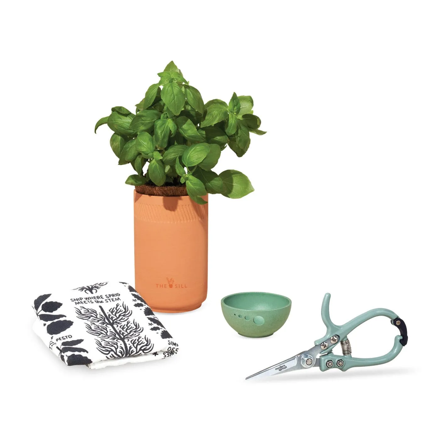 Modern Sprout - Growing Gourmet Gift Set