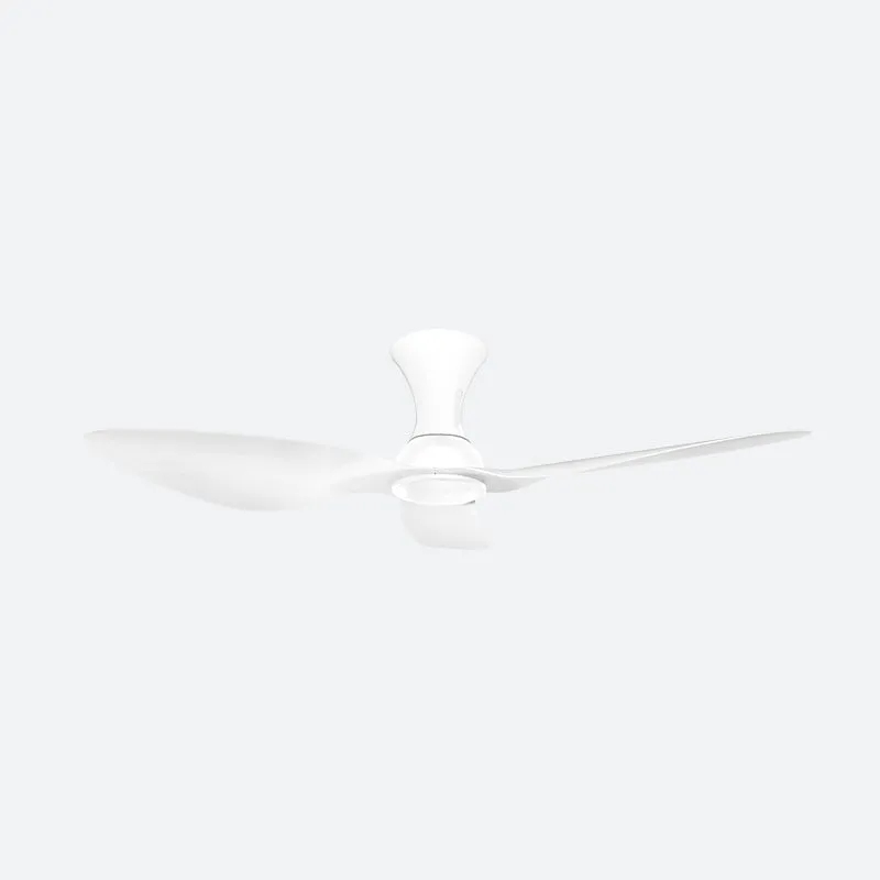 OHF1 Modern Decor Fans (NLO)