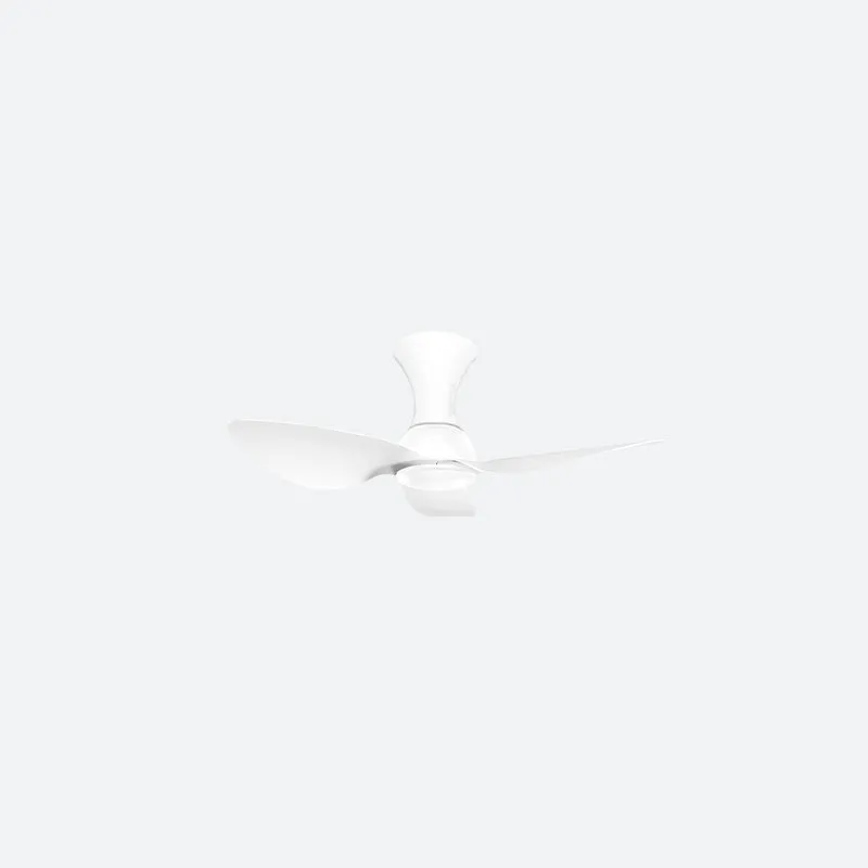 OHF1 Modern Decor Fans (NLO)