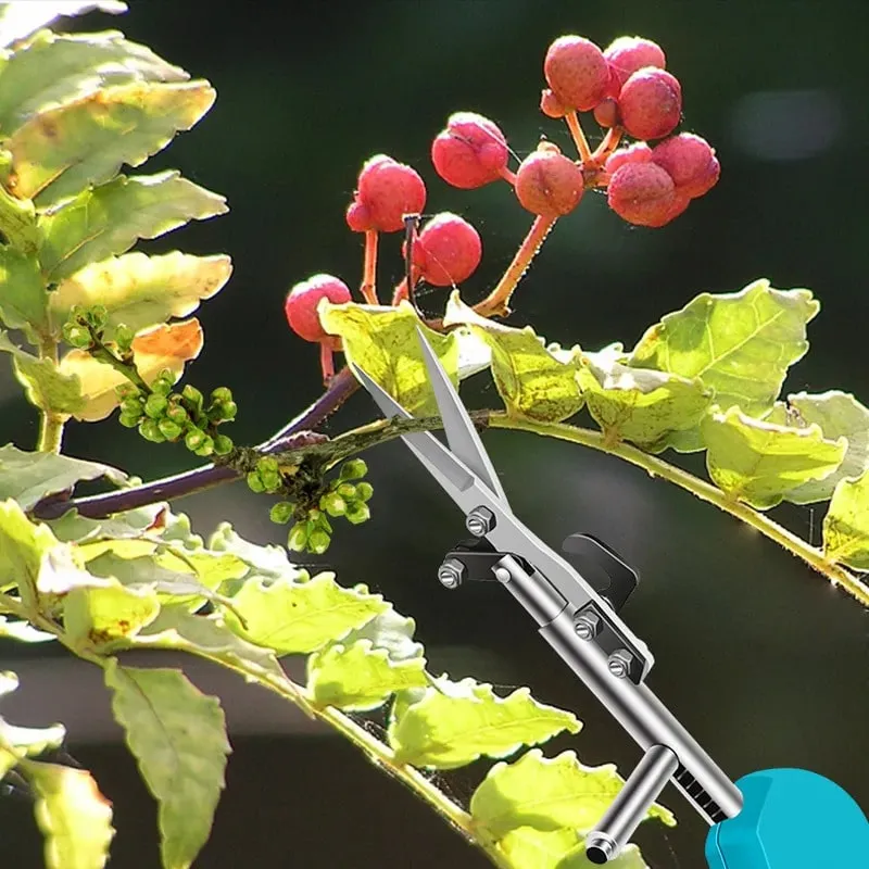 Pruning Scissors