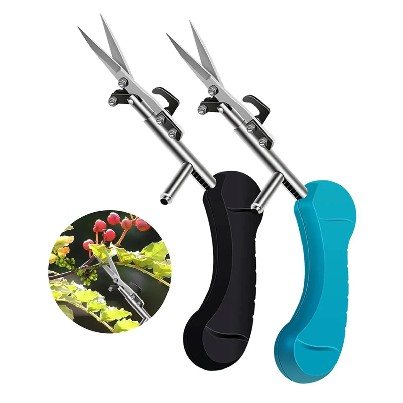 Pruning Scissors