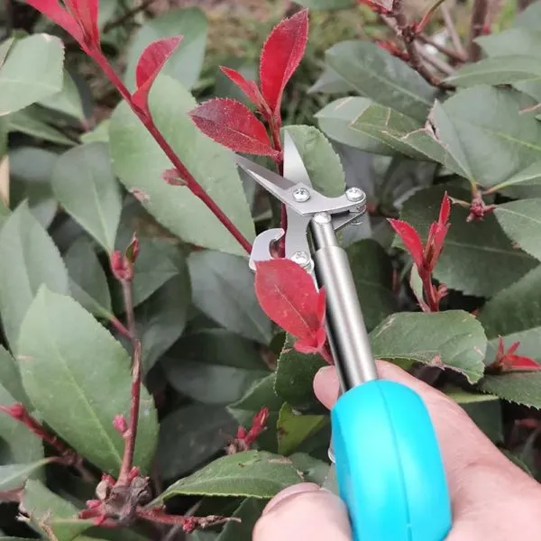 Pruning Scissors