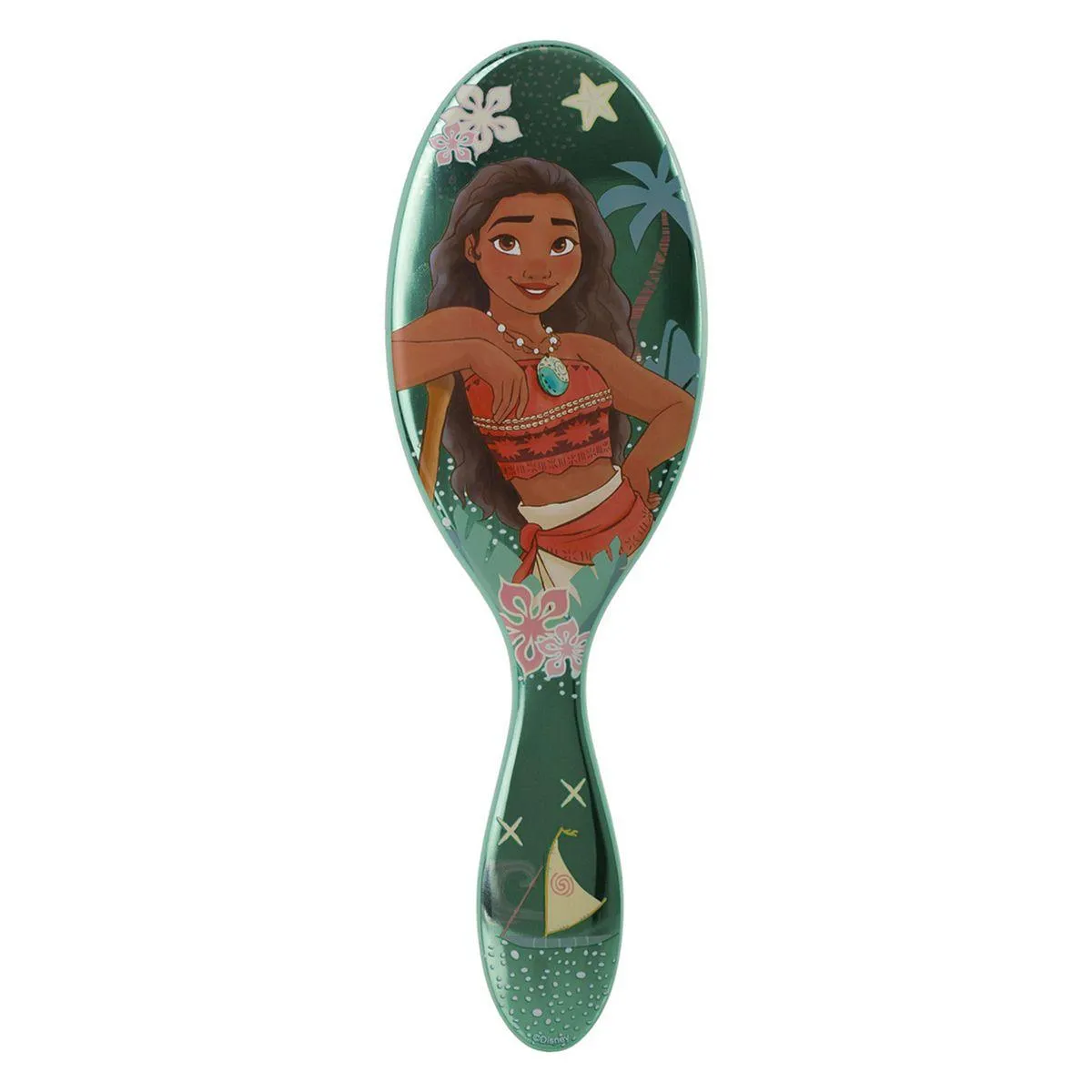 Wet Brush Detangler Disney Princess