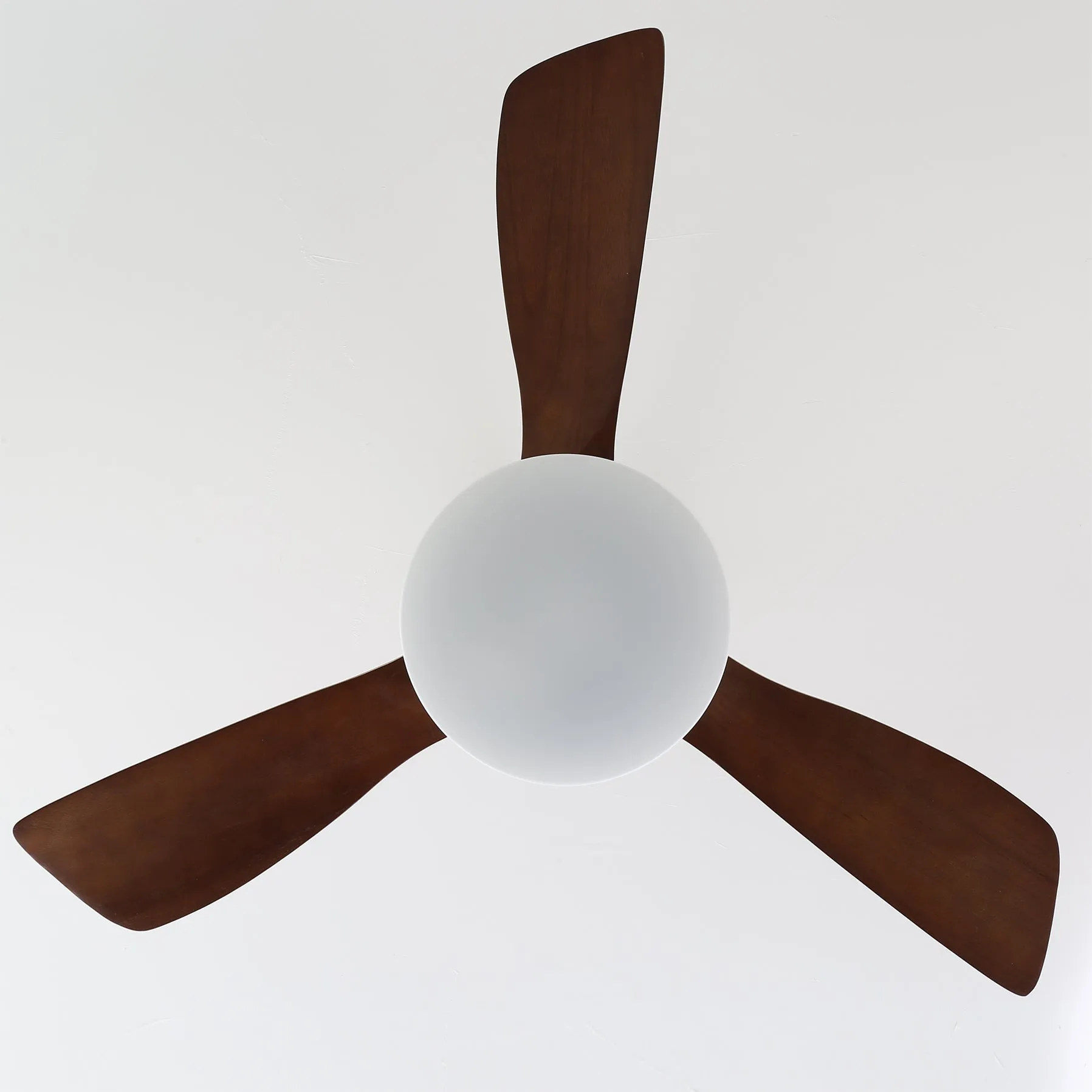 Zephyr Wood Ceiling Fan Light