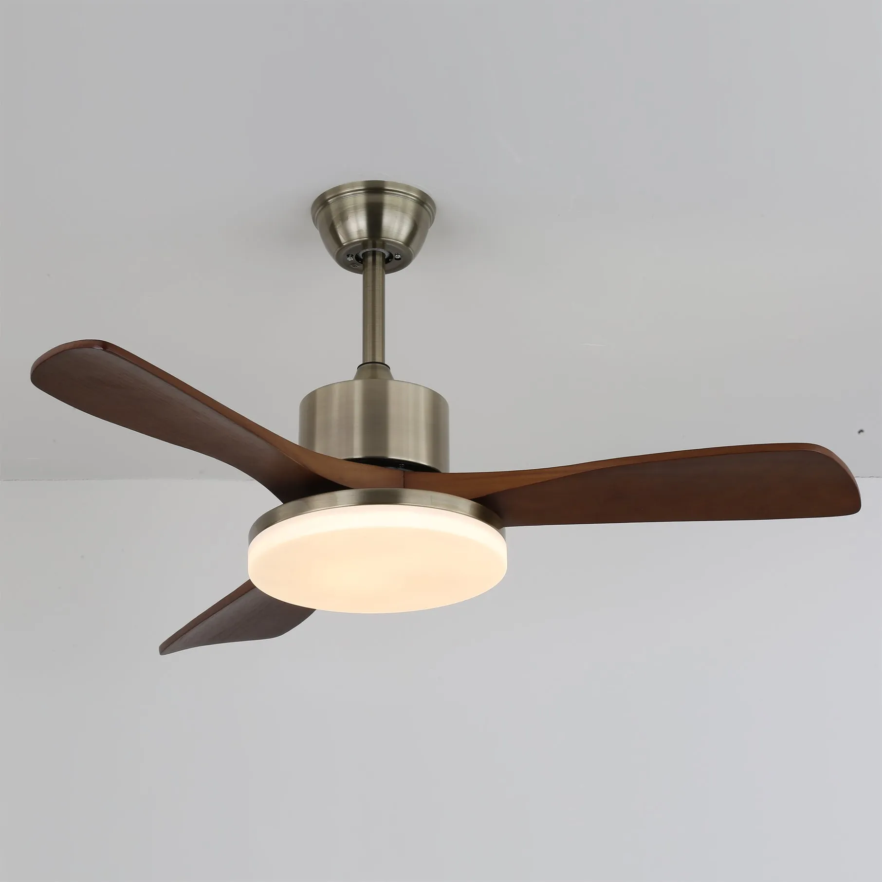 Zephyr Wood Ceiling Fan Light