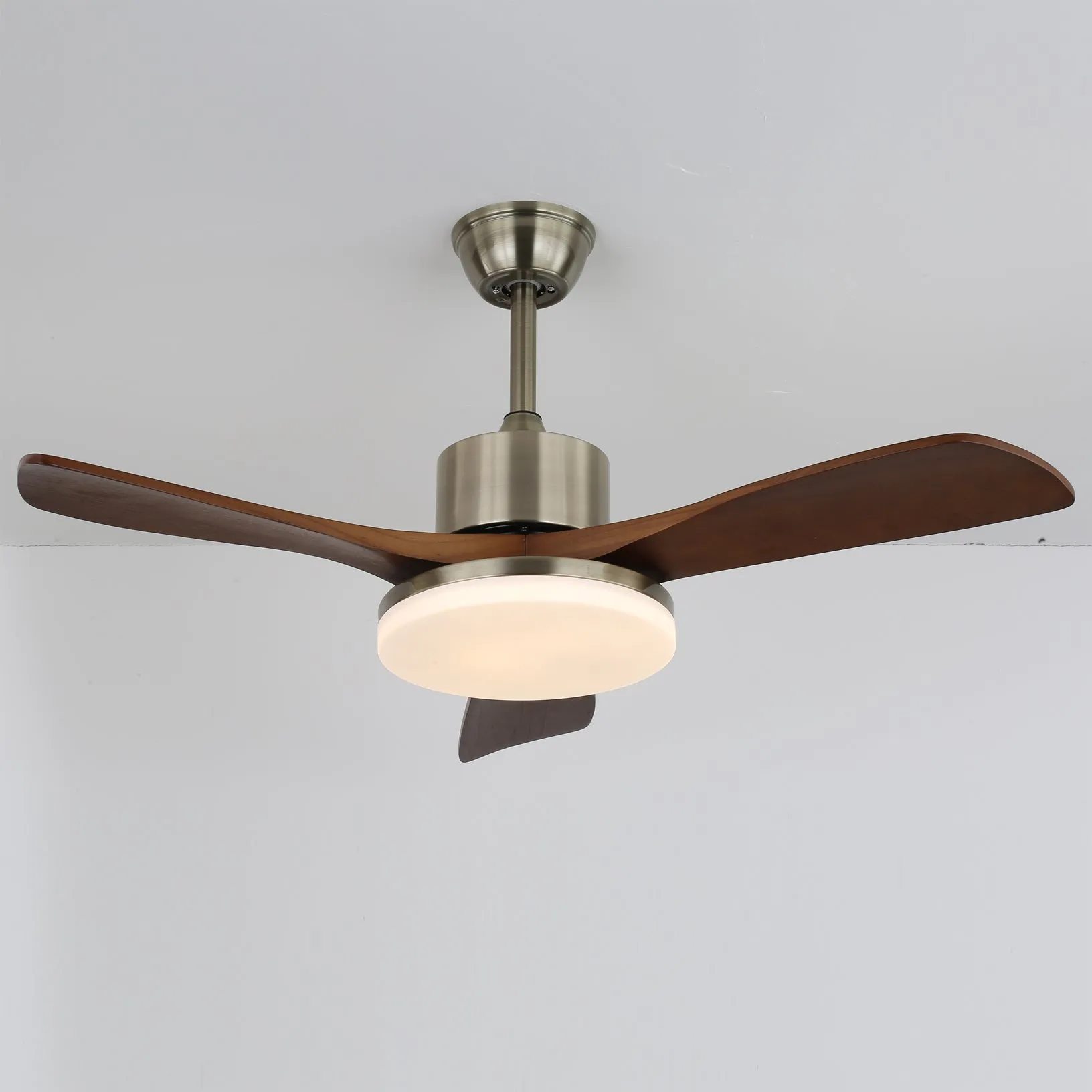 Zephyr Wood Ceiling Fan Light